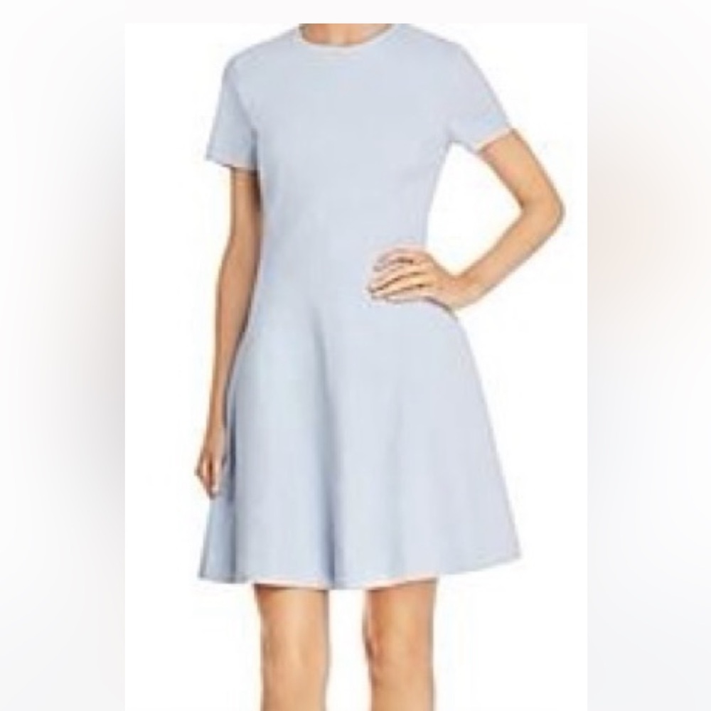 Theory dress